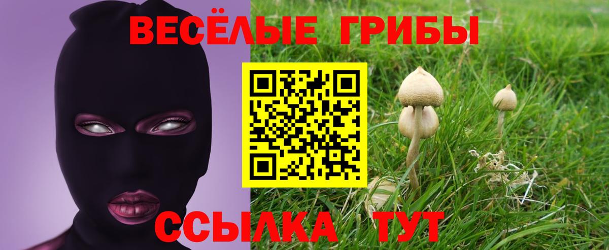 Псилоцибиновые грибы мухоморы Малгобек